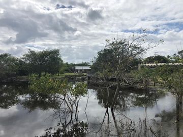 Rancho en Yucatán al sur de Dzilam de Bravo y al este de Yalsihon