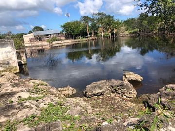 Rancho en Yucatán al sur de Dzilam de Bravo y al este de Yalsihon