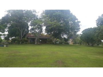 VENDO FINCA DE 18 HECTAREAS EN CERRO CAMA - PANAMA OESTE!!!