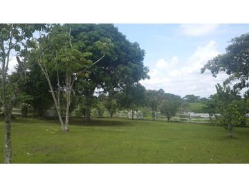 VENDO FINCA DE 18 HECTAREAS EN CERRO CAMA - PANAMA OESTE!!!