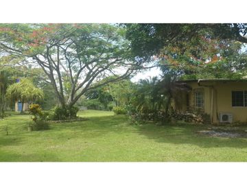 VENDO FINCA DE 18 HECTAREAS EN CERRO CAMA - PANAMA OESTE!!!