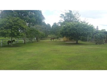 VENDO FINCA DE 18 HECTAREAS EN CERRO CAMA - PANAMA OESTE!!!