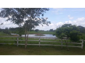 VENDO FINCA DE 18 HECTAREAS EN CERRO CAMA - PANAMA OESTE!!!