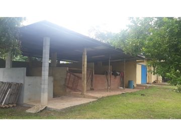 VENDO FINCA DE 18 HECTAREAS EN CERRO CAMA - PANAMA OESTE!!!