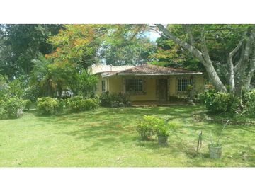 VENDO FINCA DE 18 HECTAREAS EN CERRO CAMA - PANAMA OESTE!!!