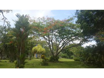 VENDO FINCA DE 18 HECTAREAS EN CERRO CAMA - PANAMA OESTE!!!