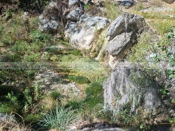 Llanitos de Santa Catarina