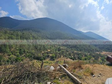 Llanitos de Santa Catarina