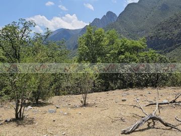 Llanitos de Santa Catarina