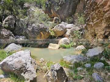 Llanitos de Santa Catarina