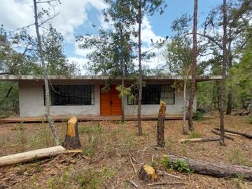 Se vende Casa en el bosque en el pueblo Mágico de Huasca de Ocampo, Hidalgo