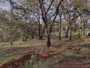 VENTA DE TERRENO CAMPESTRE EN OJO DE AGUA,HUASCA ESTADO DE HIDALGO