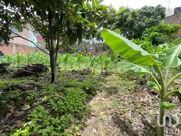 Venta de Casa con jardín y árboles frutales, Temixco, Morelos