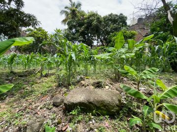 Venta de Casa con jardín y árboles frutales, Temixco, Morelos