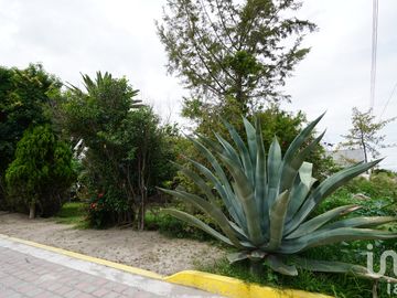 TERRENO EN VENTA EN TECAMACHALCO