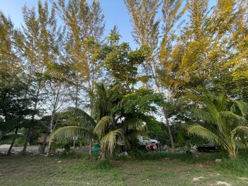 TERRENO EN VENTA EN MÉRIDA YUCATÁN EN TEYA KANASÍN A UN LADO DEL TREN MAYA