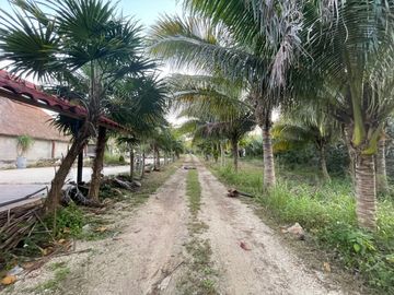 TERRENO EN VENTA EN MÉRIDA YUCATÁN EN TEYA KANASÍN A UN LADO DEL TREN MAYA