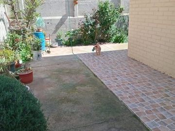 Se vende casa de 4 dormitorios parte baja Los Pinos, Quilpúe.