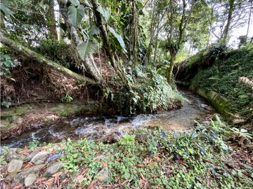 Finca Parcelación Sector Fizebad (El Retiro)