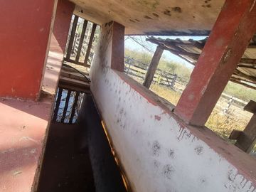 RANCHO EN VENTA MERIDA, BUCTZOTZ