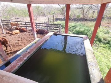 RANCHO EN VENTA MERIDA, BUCTZOTZ