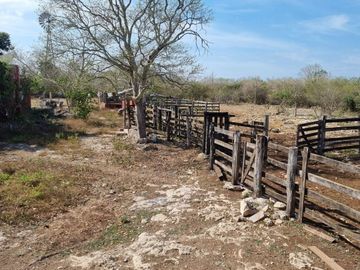 RANCHO EN VENTA MERIDA, BUCTZOTZ