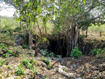 RANCHO EN VENTA MERIDA, BUCTZOTZ