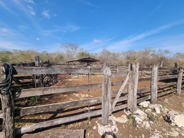 RANCHO EN VENTA MERIDA, BUCTZOTZ