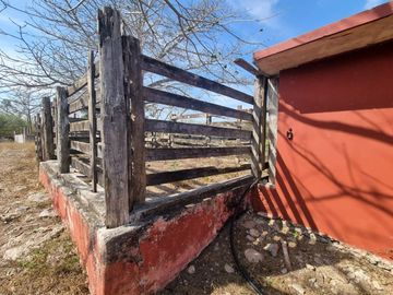 RANCHO EN VENTA MERIDA, BUCTZOTZ