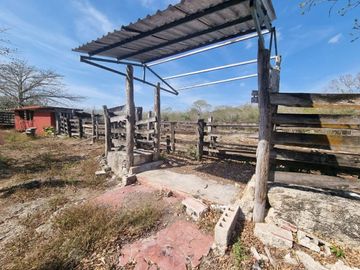 RANCHO EN VENTA MERIDA, BUCTZOTZ