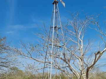 RANCHO EN VENTA MERIDA, BUCTZOTZ