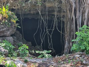 RANCHO EN VENTA MERIDA, BUCTZOTZ