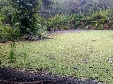 RANCHO EN VENTA MERIDA, BUCTZOTZ
