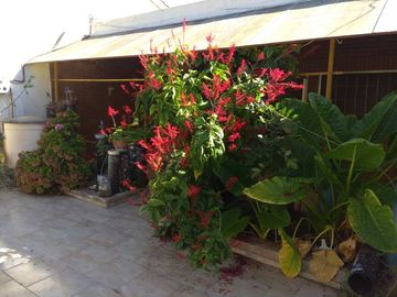Casa en venta en Quilmes Oeste