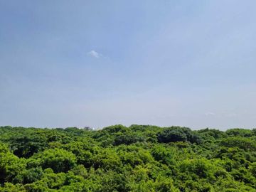 -Kōrsa, Departamentos en Pre-Venta, Dos Riberas, Riviera Veracruzana