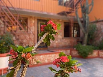 VENTA CASA CUAUTITLÁN CENTRO CON USO COMERCIAL.