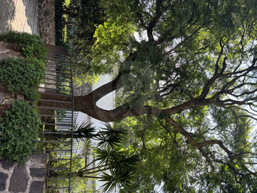 Casa en venta en San Miguel Xicalco