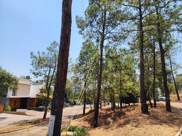 EL PINAR, VISTAS ALOZANO