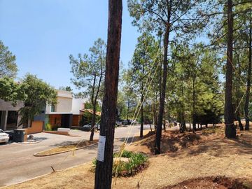 EL PINAR, VISTAS ALOZANO