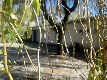 VENTA -CASA -QUINTA PILAR-LA ESPERANZA CC