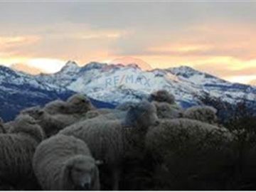 Terreno Panorámico en Puerto Natales: 5000 m²