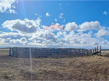 Amplio Campo Ganadero en Venta en Tierra del Fuego