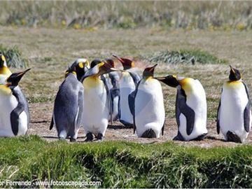 Amplio Campo Ganadero en Venta en Tierra del Fuego