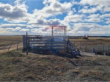 Amplio Campo Ganadero en Venta en Tierra del Fuego