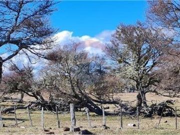 Amplio Campo Ganadero en Venta en Tierra del Fuego