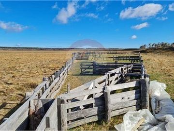 Amplio Campo Ganadero en Venta en Tierra del Fuego
