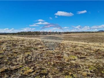 Amplio Campo Ganadero en Venta en Tierra del Fuego