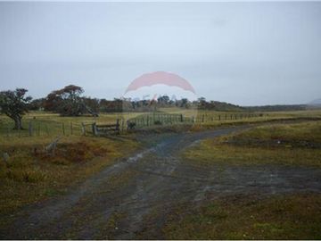 Amplio Campo Ganadero en Venta en Tierra del Fuego