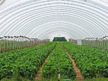 Propiedad en Venta para Cultivo en Invernadero, Morelos