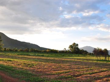 Propiedad en Venta para Cultivo en Invernadero, Morelos